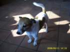 sirtoby007_small.jpg