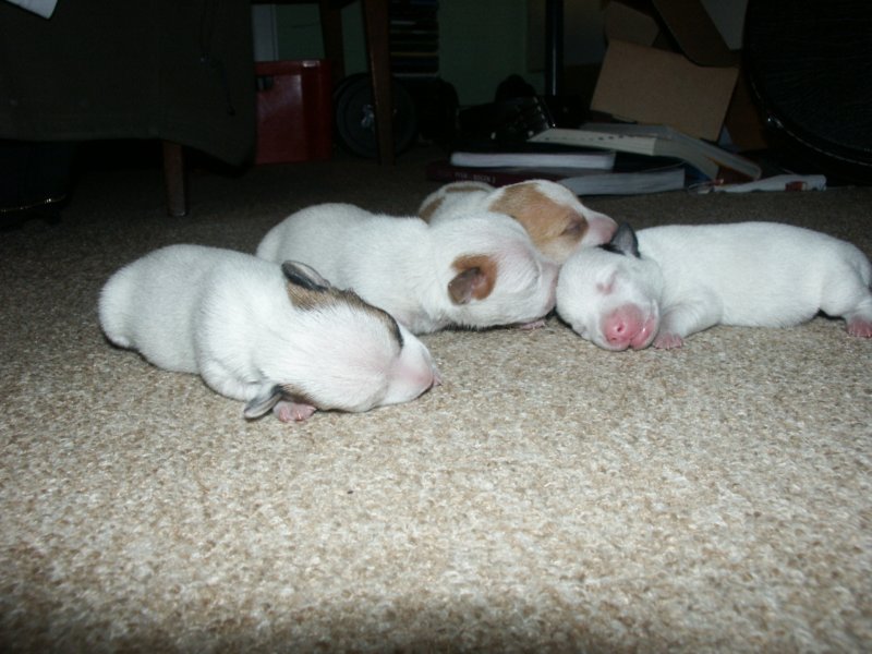 pict0272.jpg
