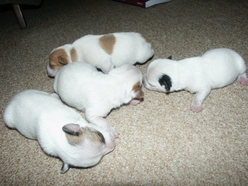 pict0274.jpg