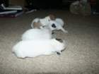 pict0275_small.jpg