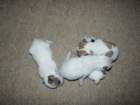 pict0279_small.jpg