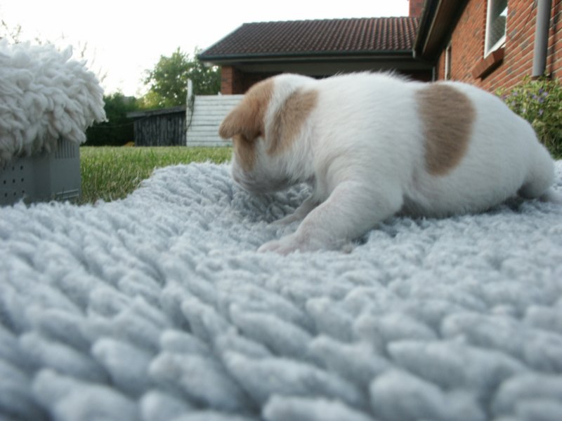 pict0292.jpg