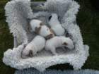 pict0301_small.jpg