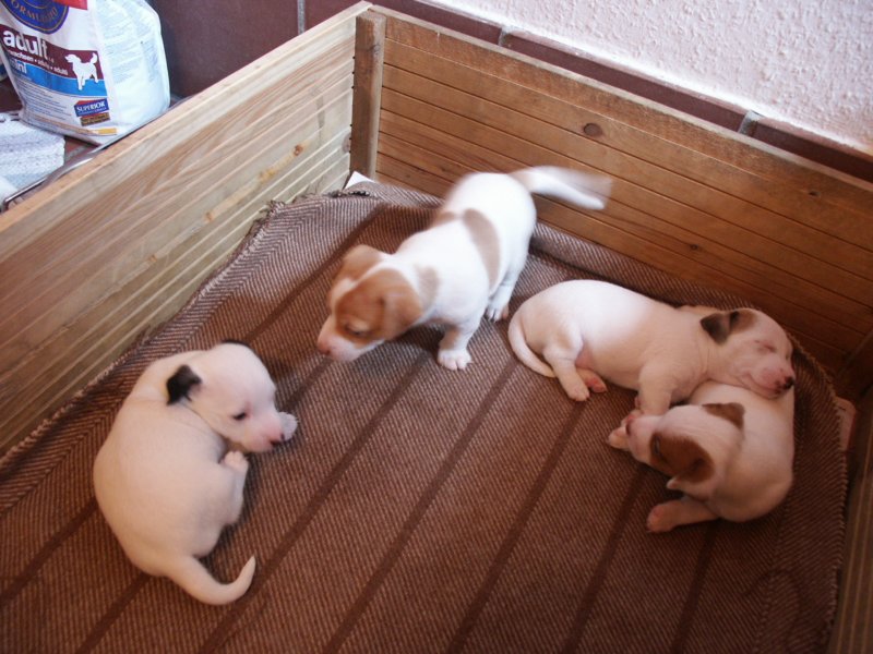 pict0313.jpg