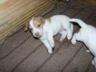 pict0350_small.jpg