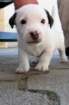 img_3116_small.jpg