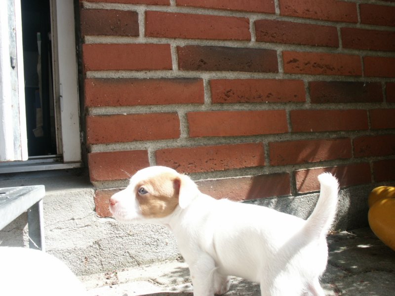 pict0369.jpg