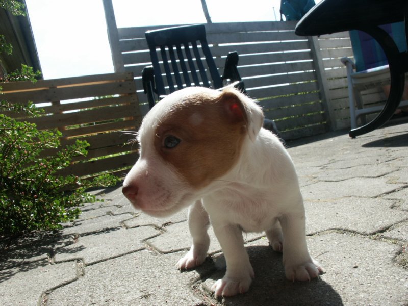 pict0377.jpg