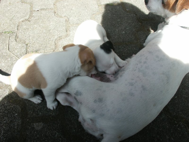 pict0381.jpg