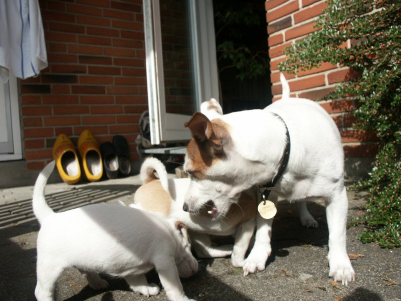 pict0386.jpg