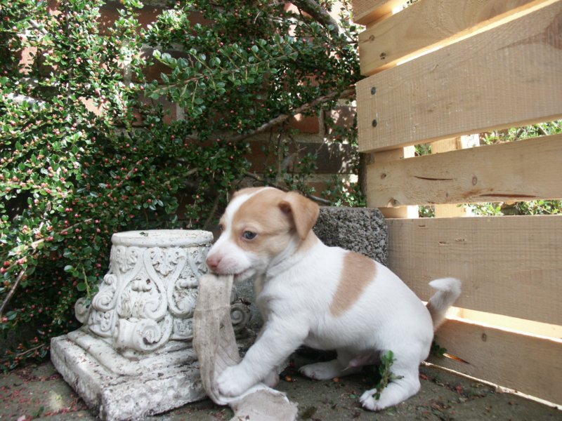 pict0391.jpg