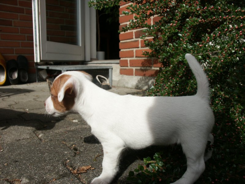 pict0395.jpg