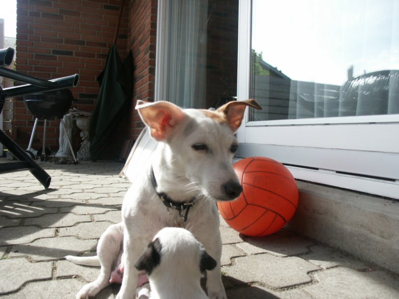 pict0406.jpg