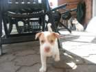 pict0418_small.jpg