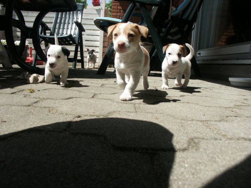 pict0423.jpg