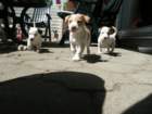 pict0423_small.jpg