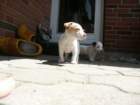 pict0425_small.jpg