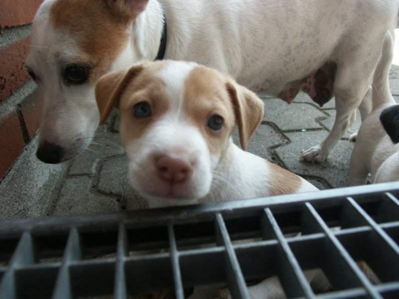 pict0429.jpg
