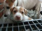pict0429_small.jpg