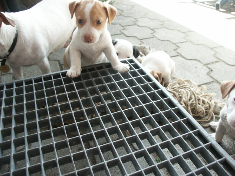 pict0432.jpg