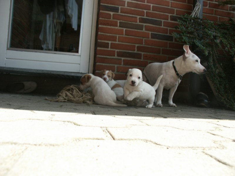 pict0435.jpg