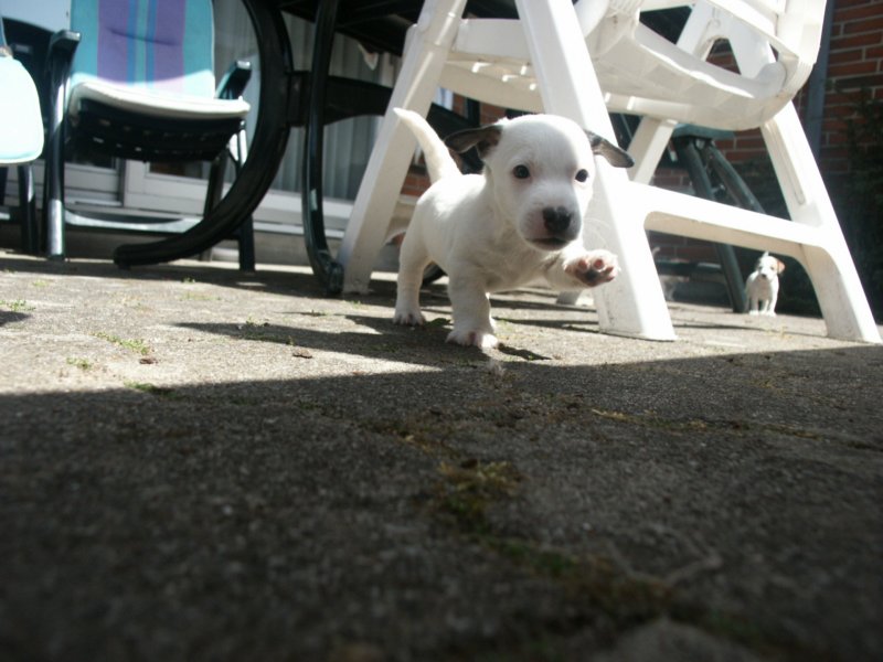 pict0447.jpg