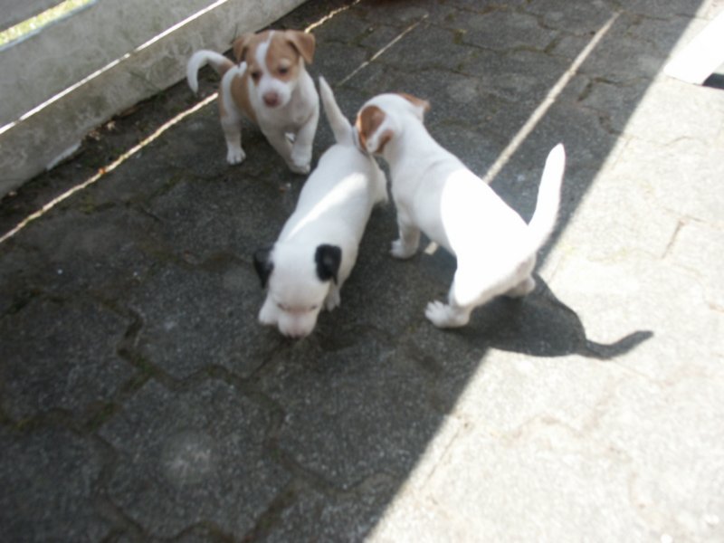 pict0450.jpg
