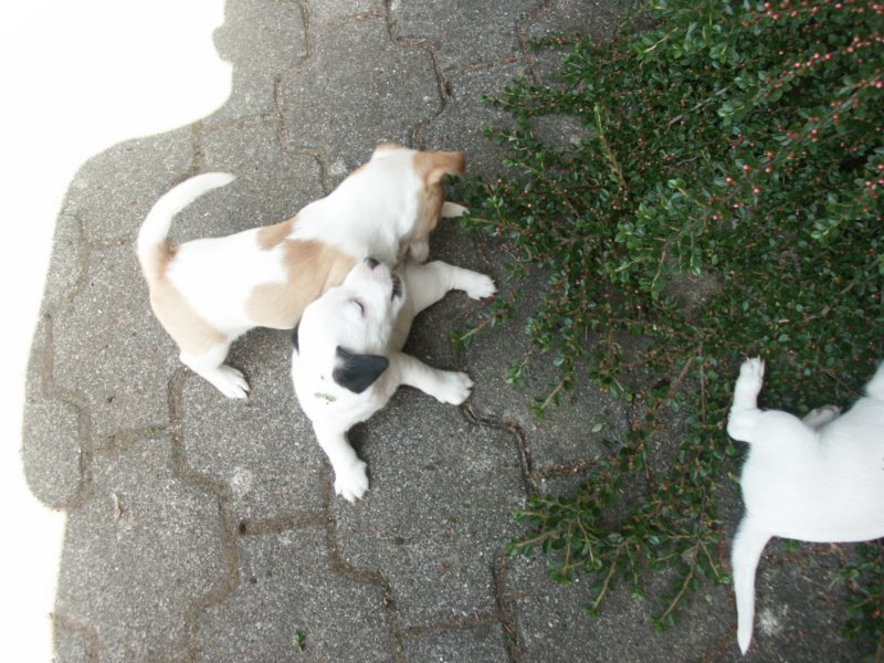 pict0462.jpg