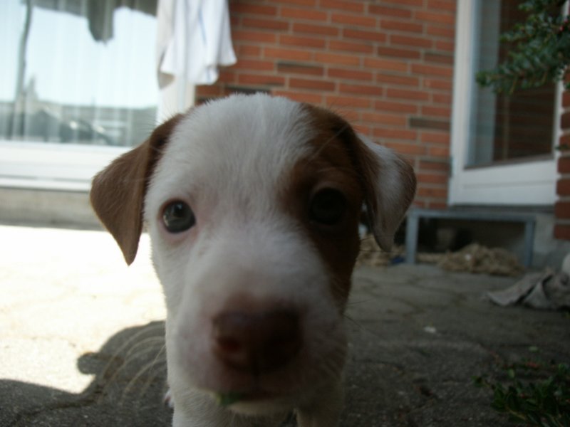 pict0467.jpg