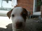pict0467_small.jpg