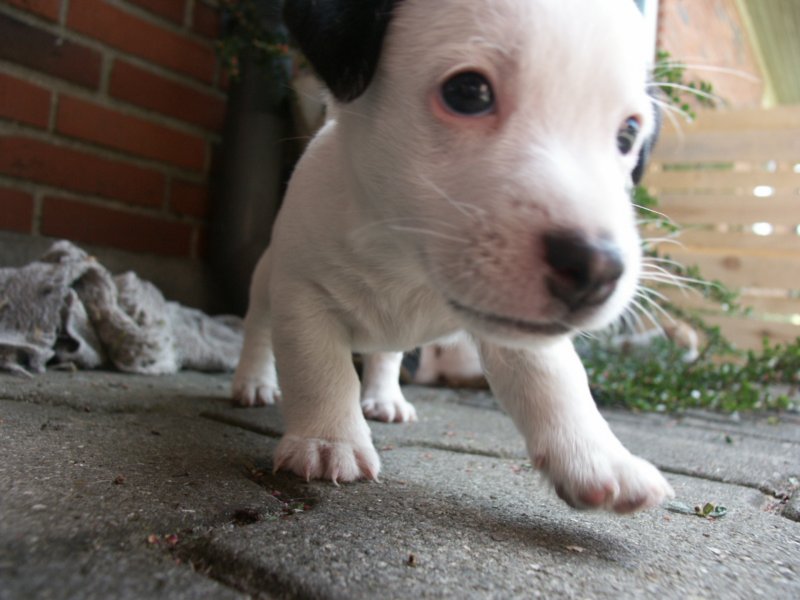 pict0471.jpg