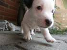 pict0471_small.jpg
