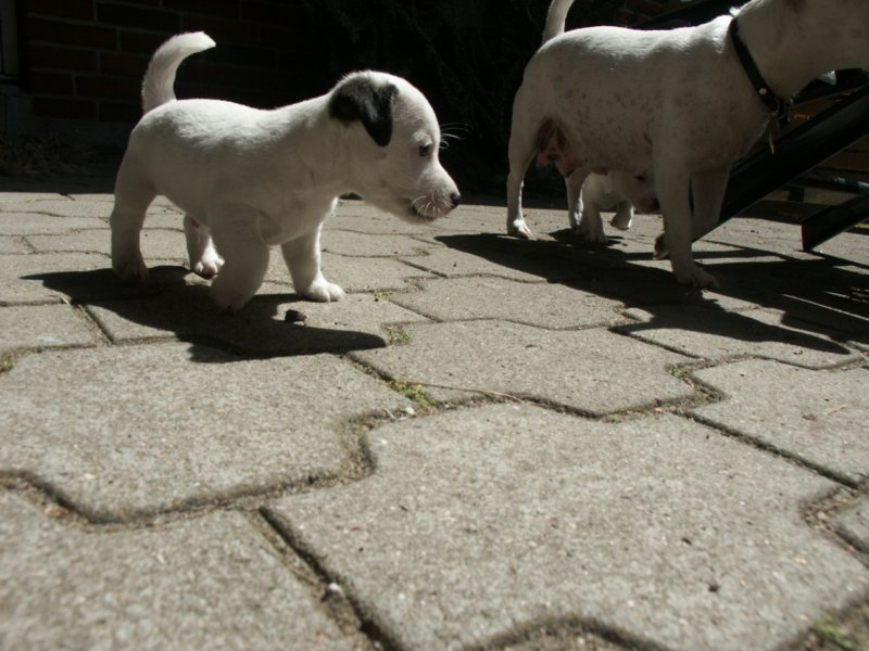 pict0476.jpg