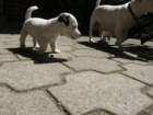 pict0476_small.jpg