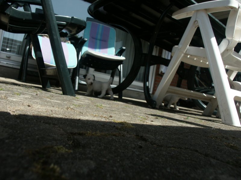 pict0478.jpg