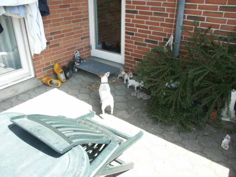 pict0479.jpg