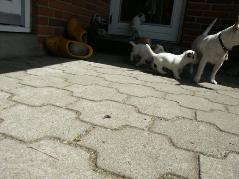 pict0482.jpg