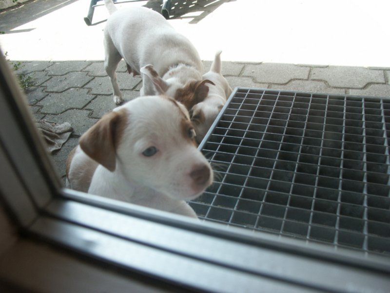 pict0484.jpg