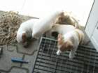 pict0486_small.jpg