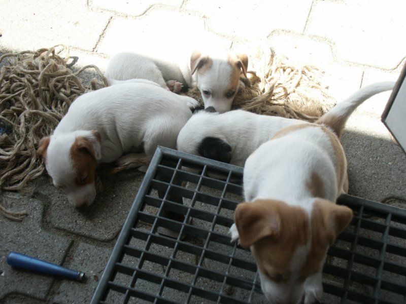 pict0487.jpg