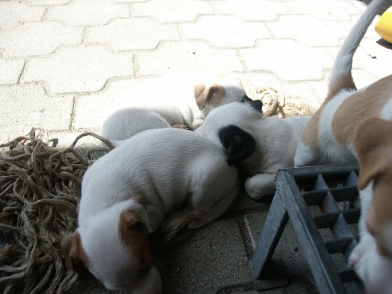 pict0489.jpg