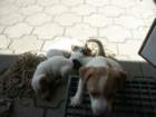 pict0490_small.jpg
