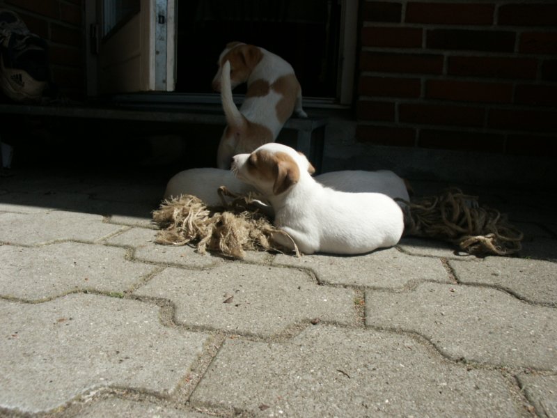pict0491.jpg