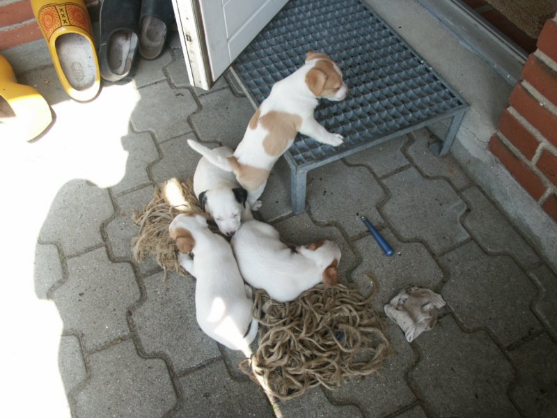 pict0492.jpg
