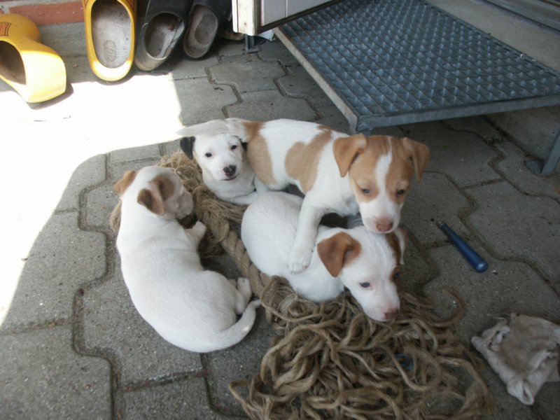 pict0494.jpg