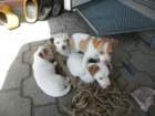 pict0494_small.jpg