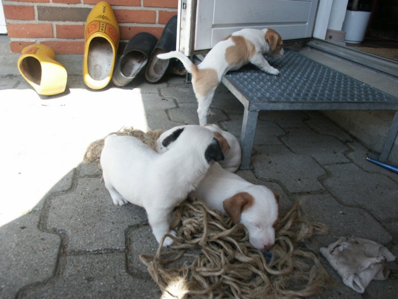 pict0498.jpg