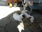 pict0499_small.jpg