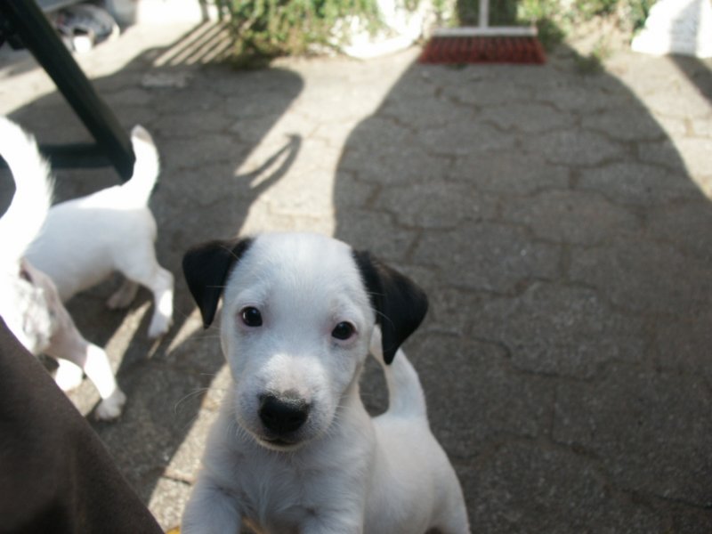 pict0426.jpg
