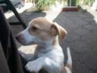 pict0427_small.jpg